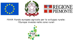 Fondo Europeo agricolo per lo sviluppo rurale (FEASR)
